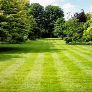 Pro Master 50 Quality Lawn (20kg)