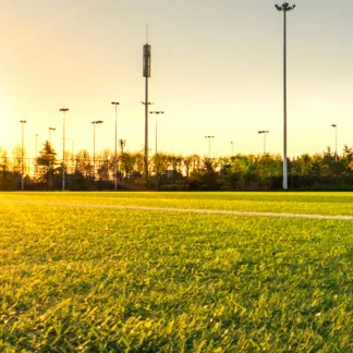 Pro Master 79 Playing Field (20kg)