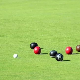 Pro Master 10 Traditional Bowling Green (20kg)