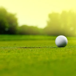 Pro Master 5 Golf Greens (20kg)