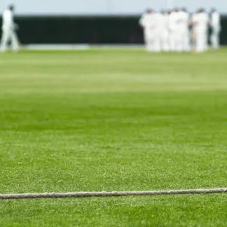 MM29 - A Traditional Ryegrass and Fescue Mixture for Cricket Squares and Outfields (20kg)