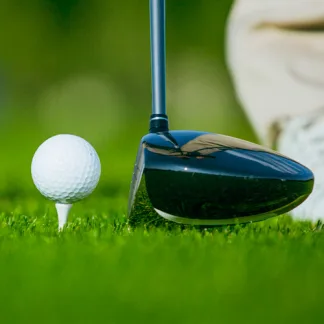 MM22 - A Hard Wearing Mixture for all Tees, Fairways and Outfields (20kg)