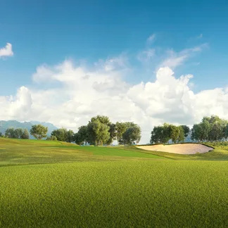 top seed golf fairway grass