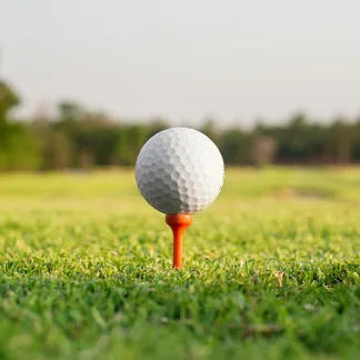 top seed golf tee grass