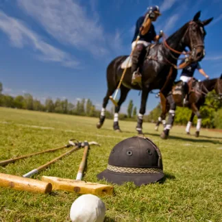 MM Universal Sport - Renovation and Divot Repair For Racecourses, Gallops and Polo Fields (20kg)