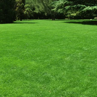 MM11 - Ideal Mixture for use in Spring, Summer and Autumn on Existing and New Constructions (20kg)